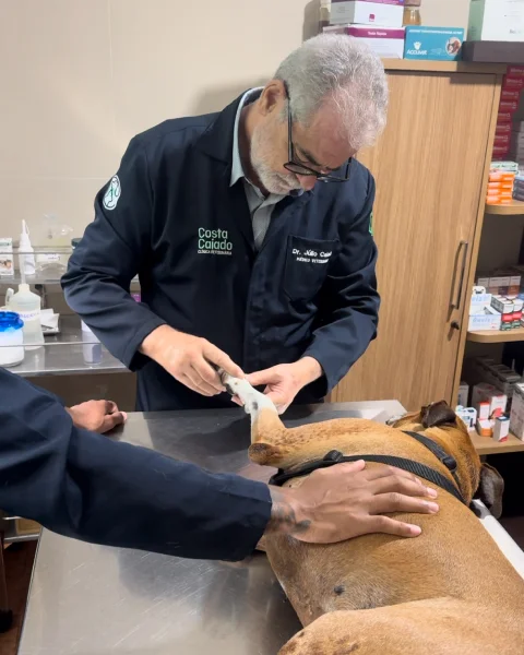 Consultório — Clínica Veterinária Costa Caiado