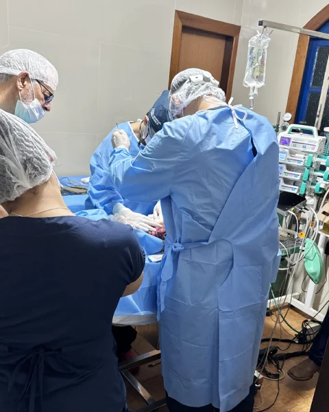Centro Cirúrgico — Clínica Veterinária Costa Caiado