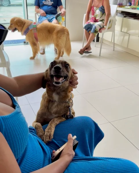 Sala de espera — Clínica Veterinária Costa Caiado