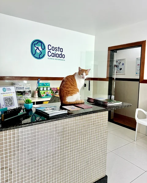 Recepção — Clínica Veterinária Costa Caiado